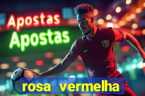 rosa vermelha (letra e cifra)